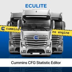 19 Cummins CFG Statistic Editor
