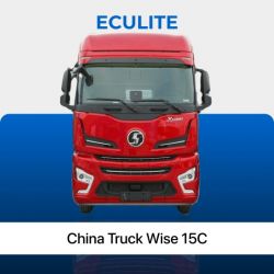 29 China Truck Wise 15C