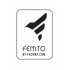 Загрузчик прошивок FEMTO OBD Flasher